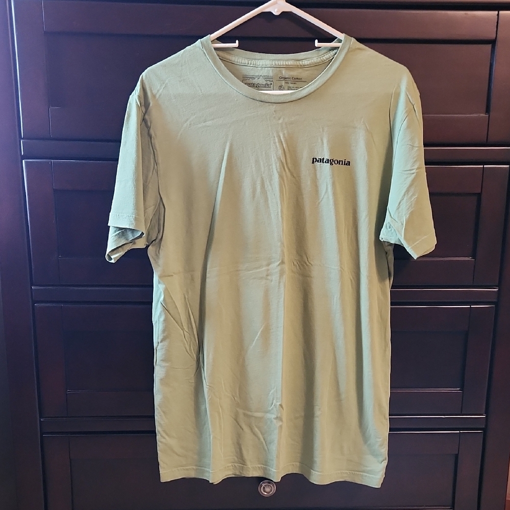 Patagonia Men's Light Green Short Sleeve Tee